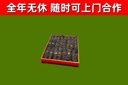 阿拉善回收海参